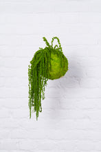 Carica l'immagine nel visualizzatore di Gallery, KOoke