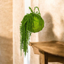 Carica l'immagine nel visualizzatore di Gallery, Koke - KOKEDAMA MUSCHIO VERDE MELA CON AMARANTHUS CAUDATUM STABILIZZATO