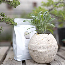 Carica l'immagine nel visualizzatore di Gallery, Regalo Fuori salone - Miscela La Terra Cruda 4kg