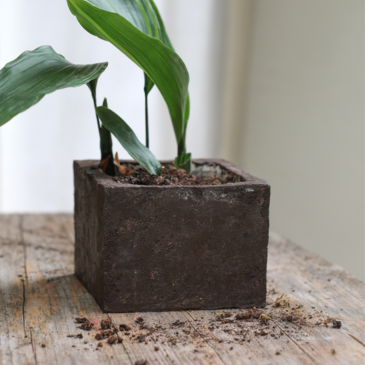 Vaso Zolla lisciato a Ferro Cioccolato in Terra Cruda® | vasi naturali