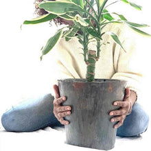 Carica l&#39;immagine nel visualizzatore di Gallery, Vaso plastic free | La Terra Cruda | Vaso per piante
