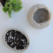 Carica e avvia il video nel visualizzatore di galleria, Vaso Ike La Terra Cruda®