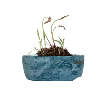 Carica l'immagine nel visualizzatore di Gallery, Sostenibilità  ambientale | La Terra Cruda | vaso Hari