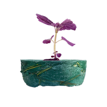 Carica l'immagine nel visualizzatore di Gallery, Sostenibilità  | La Terra Cruda | vaso Hari