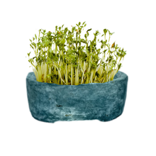 Carica l'immagine nel visualizzatore di Gallery, Vaso Ike La Terra Cruda®