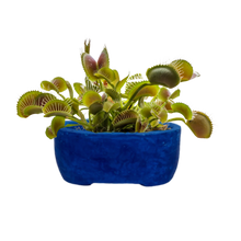 Carica l'immagine nel visualizzatore di Gallery, Sostenibilità  | La Terra Cruda | vaso Ike