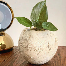 Carica l'immagine nel visualizzatore di Gallery, Vaso Mu La Terra Cruda®