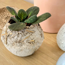 Carica l'immagine nel visualizzatore di Gallery, Vaso Mu La Terra Cruda®