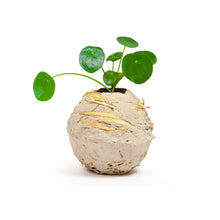 Carica l'immagine nel visualizzatore di Gallery, sostenibilità | La Terra Cruda | vaso Mu