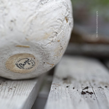 Carica l'immagine nel visualizzatore di Gallery, Plastic free | La Terra Cruda | vaso Mu