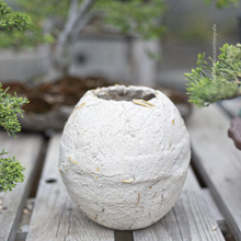 Carica l'immagine nel visualizzatore di Gallery, Vaso Mu La Terra Cruda®