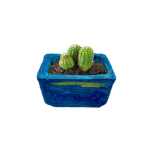 Carica l'immagine nel visualizzatore di Gallery, Sostenibilità  | La Terra Cruda | vaso Mizu