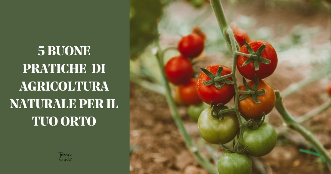 Agricoltura sostenibile - La Terra Cruda - orto biologico