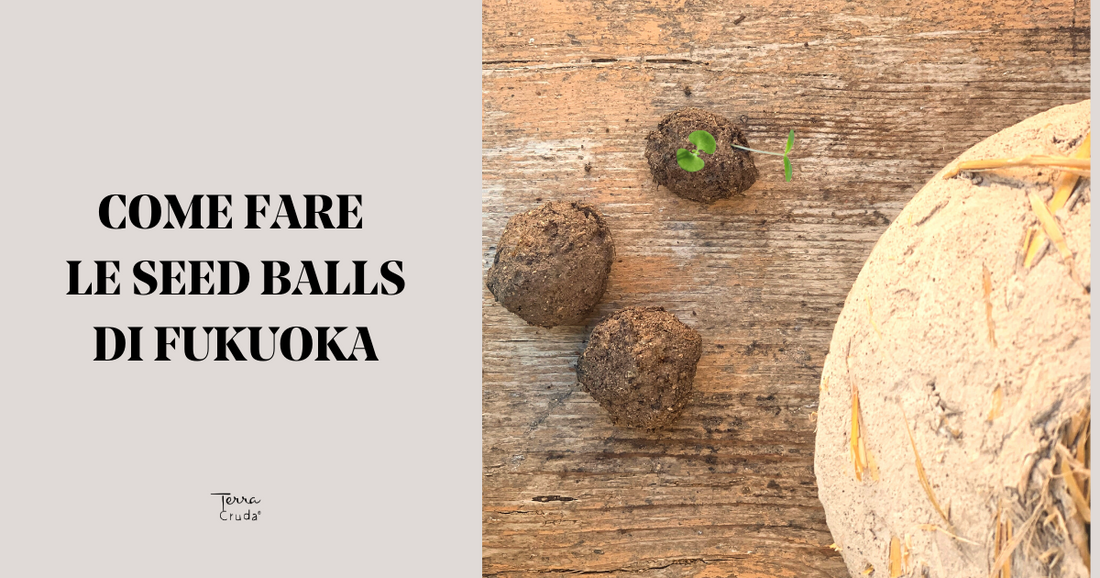 Come fare le seed balls di Fukuoka