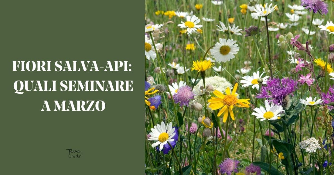 Fiori salva api | Azioni sostenibili | Terra Cruda