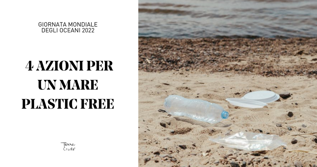 Giornata mondiale oceani plastic free - La Terra Cruda - Plastica sulla spiaggia
