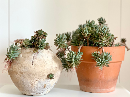 La Terra Cruda® | Vaso di terracotta e vaso di terra cruda | Vaso in cotto e vaso naturale