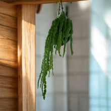 Carica l'immagine nel visualizzatore di Gallery, Koke - KOKEDAMA MUSCHIO VERDE MELA CON AMARANTHUS CAUDATUM STABILIZZATO
