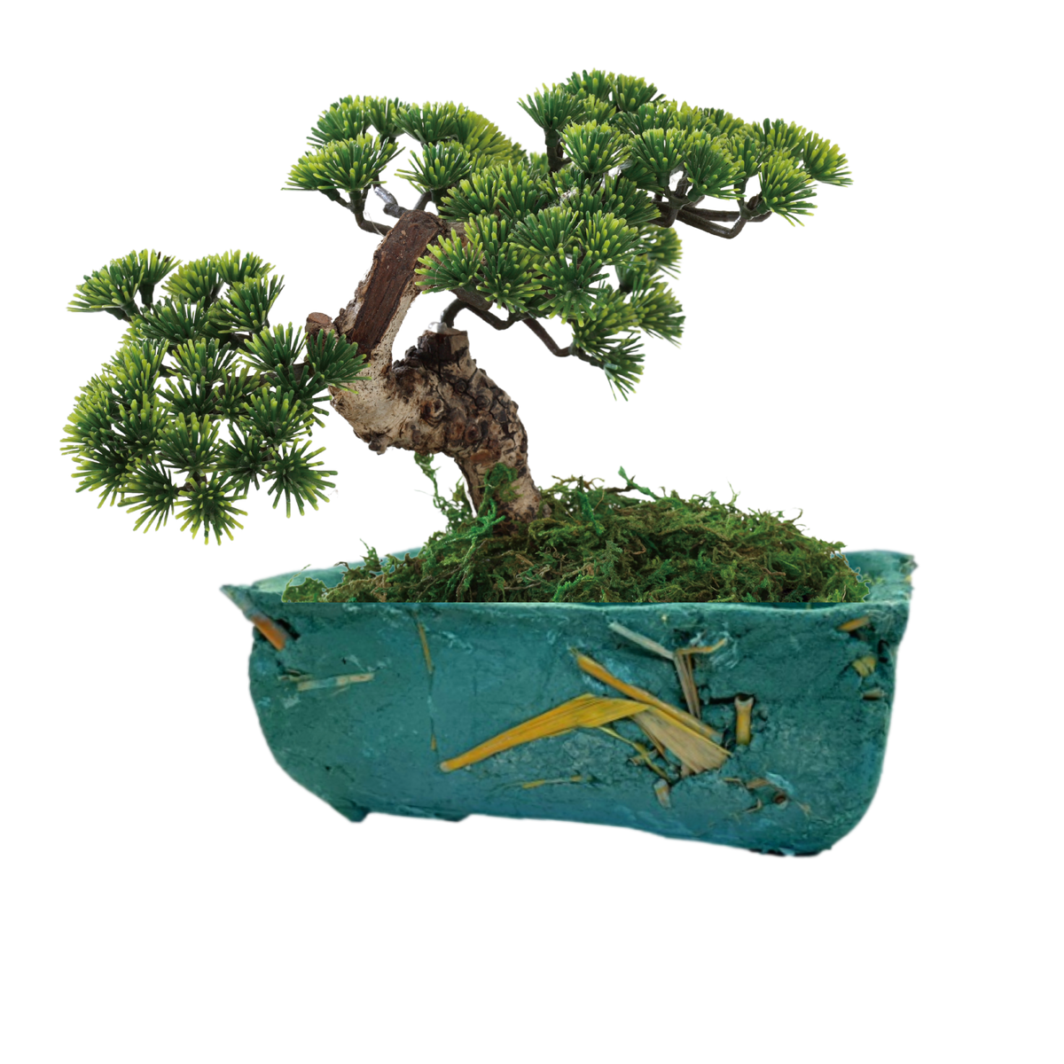 sostenibilità | La Terra Cruda | vaso Naegi