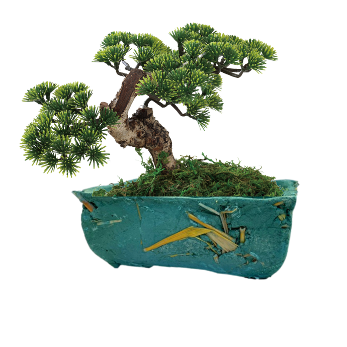 sostenibilità | La Terra Cruda | vaso Naegi