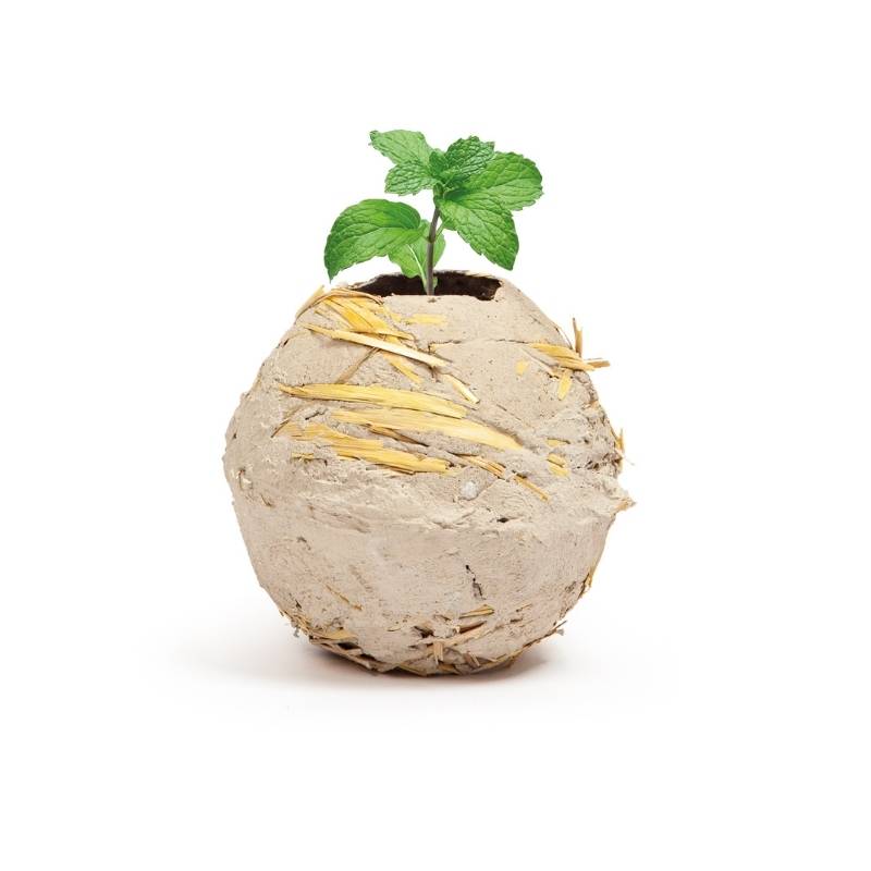 Plastic free| Vaso Grezzo in Terra Cruda | vasi naturali
