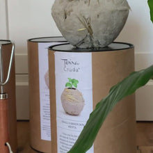 Carica e avvia il video nel visualizzatore di galleria, Small Garden Box La Terra Cruda®

