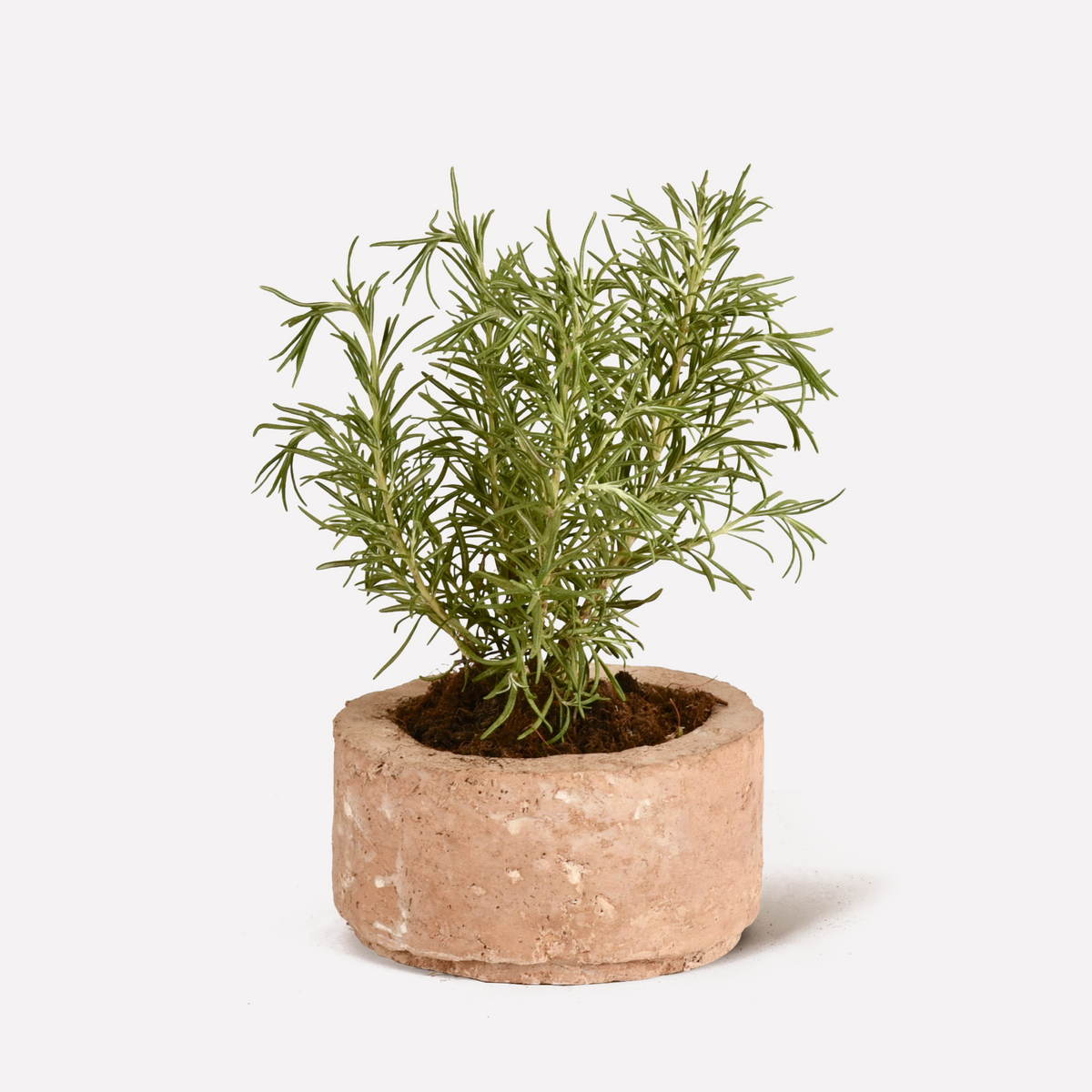 Vaso Nudo® in Terra Cruda | vasi naturali Big & Small