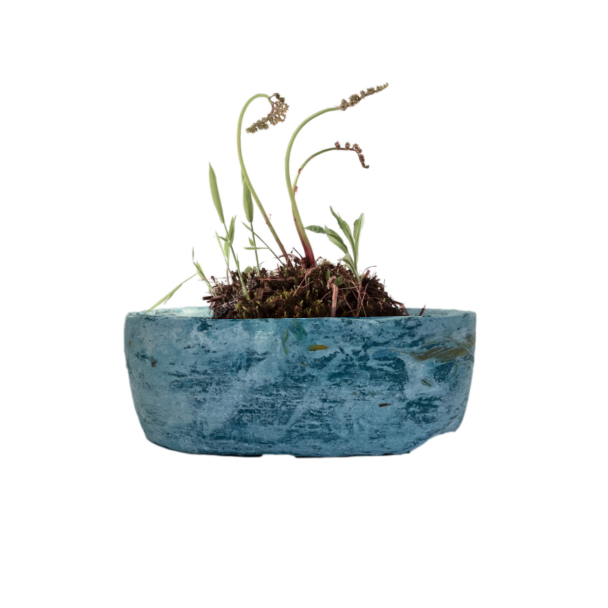 Sostenibilità  ambientale | La Terra Cruda | vaso Hari