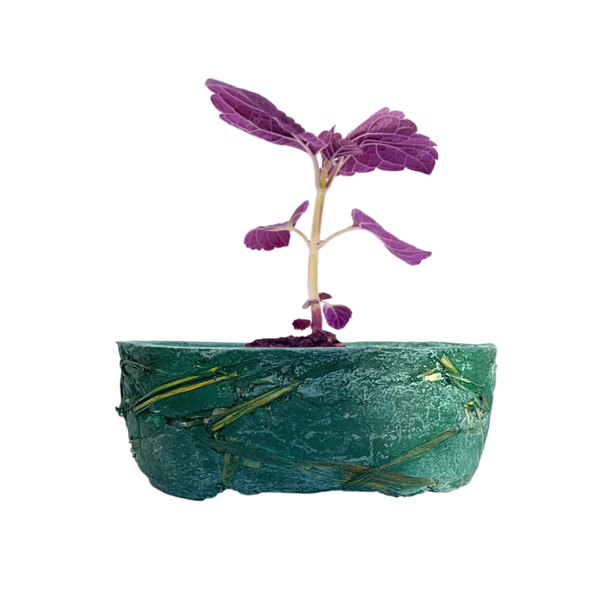 Sostenibilità  | La Terra Cruda | vaso Hari