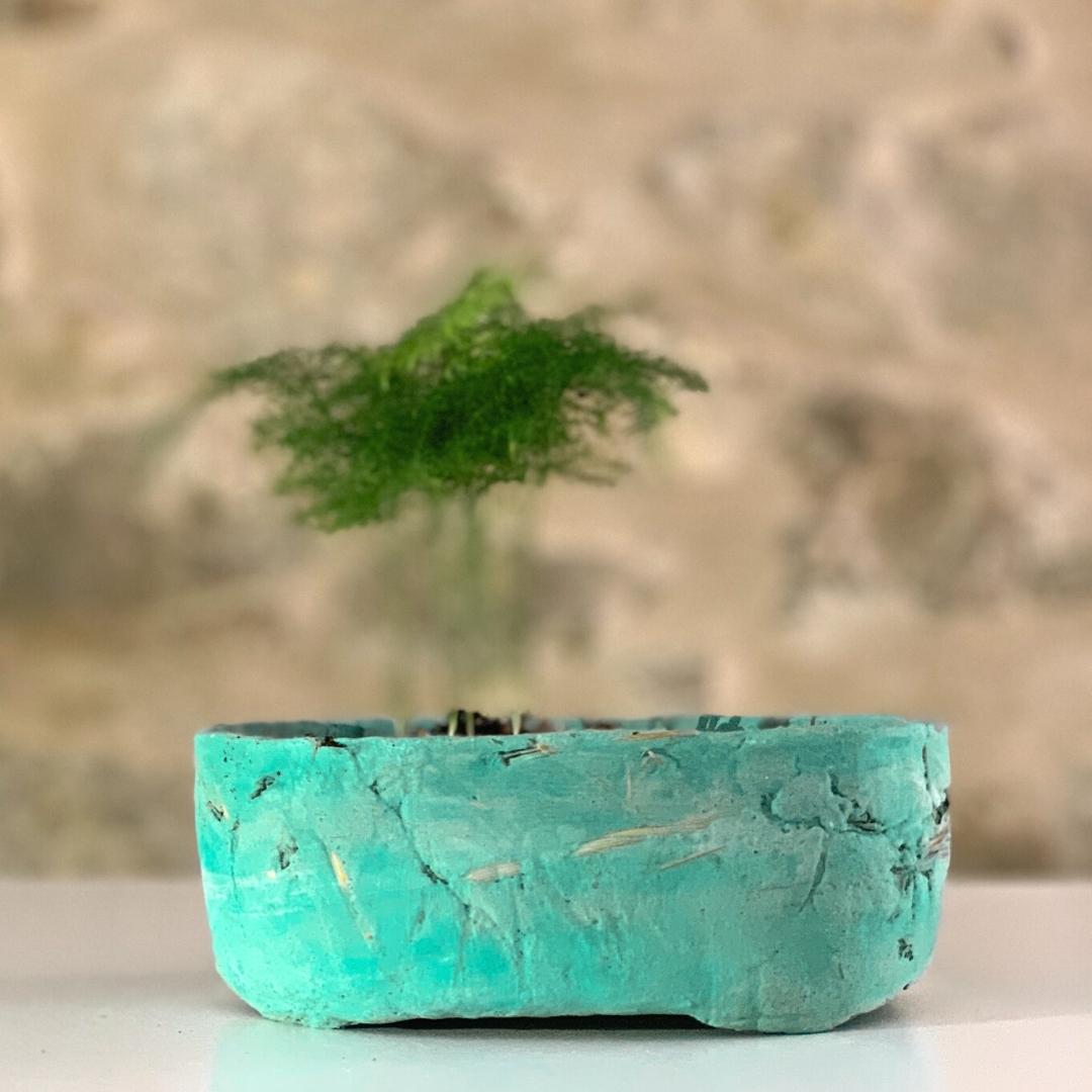 Vaso Ike La Terra Cruda®