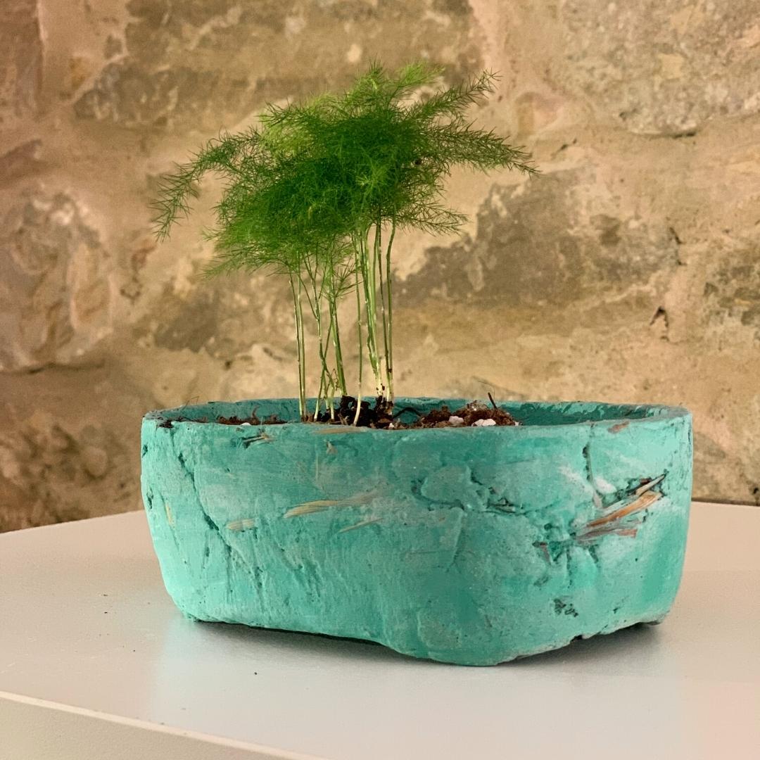 Vaso Ike La Terra Cruda®