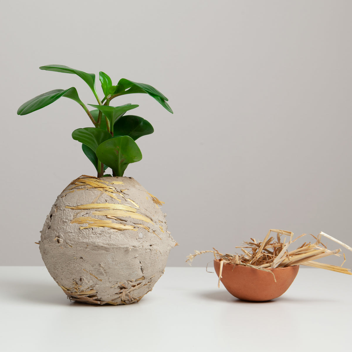 sostenibilità ambientale | La Terra Cruda | vaso Mu