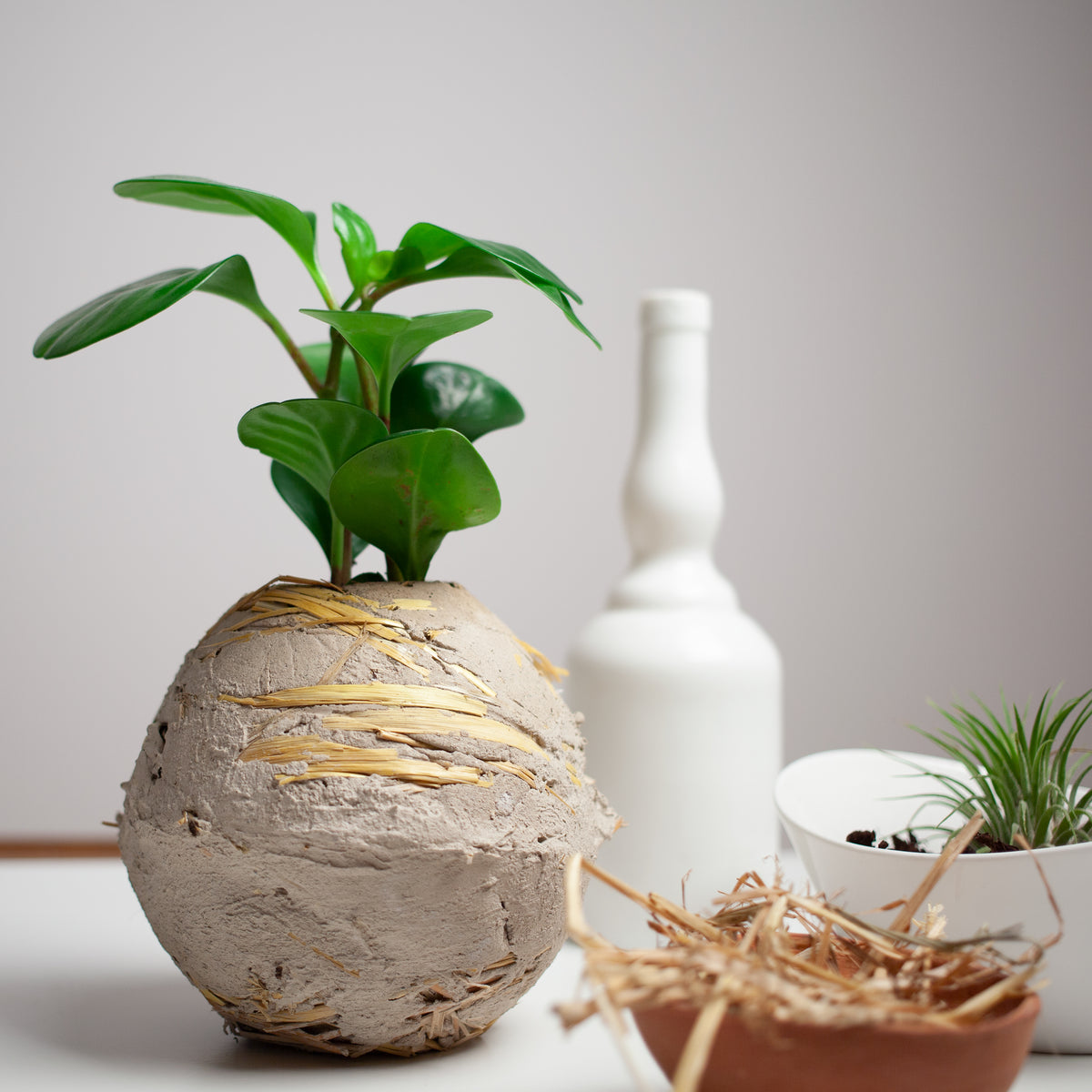 vasi naturali | La Terra Cruda | vaso Mu