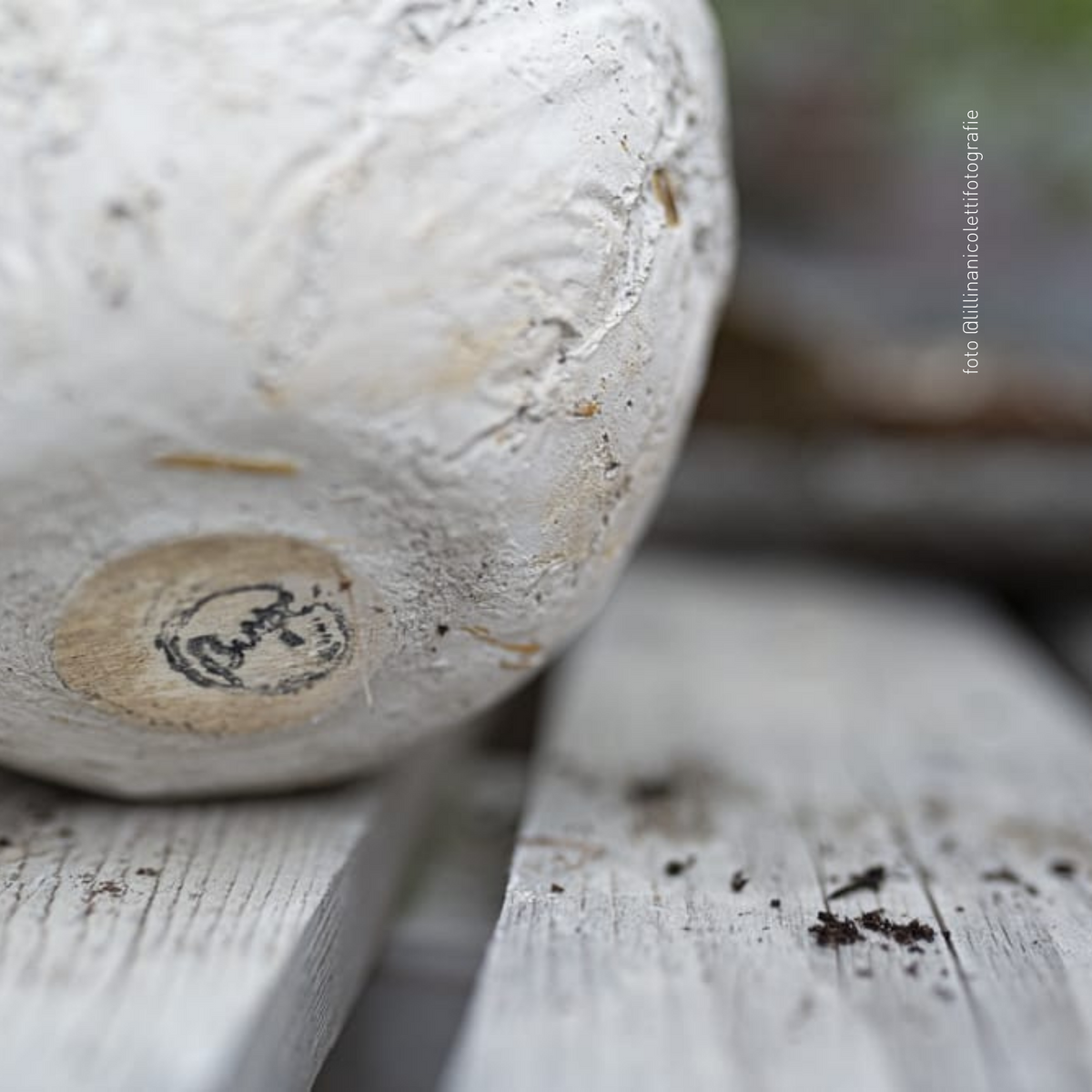 Plastic free | La Terra Cruda | vaso Mu