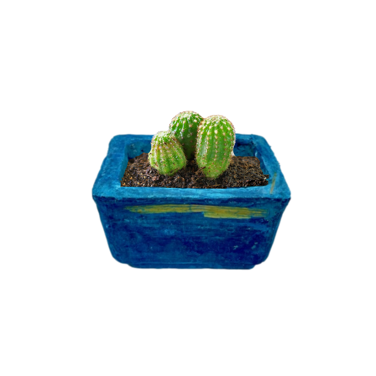 Sostenibilità  | La Terra Cruda | vaso Mizu